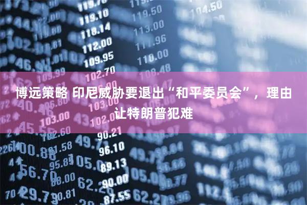 博远策略 印尼威胁要退出“和平委员会”，理由让特朗普犯难