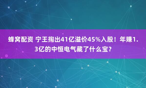 蜂窝配资 宁王掏出41亿溢价45%入股！年赚1.3亿的中恒电气藏了什么宝？